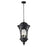 Z-Lite Doma Outdoor Chain Light, 14x28", Black, Water Glass - 543CHB-BK