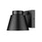 Z-Lite Asher 1 Light Outdoor Wall Sconce, Sand Blast