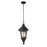 Z-Lite Medow Outdoor Chain Light, 9.75x23.75", Black, Clear Seedy - 545CHM-BK