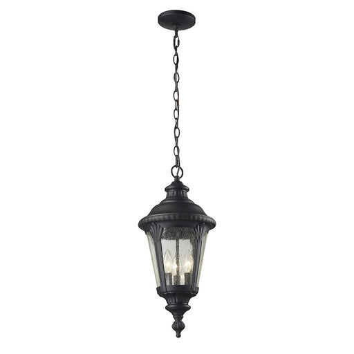 Z-Lite Medow Outdoor Chain Light, 9.75x23.75", Black, Clear Seedy - 545CHM-BK