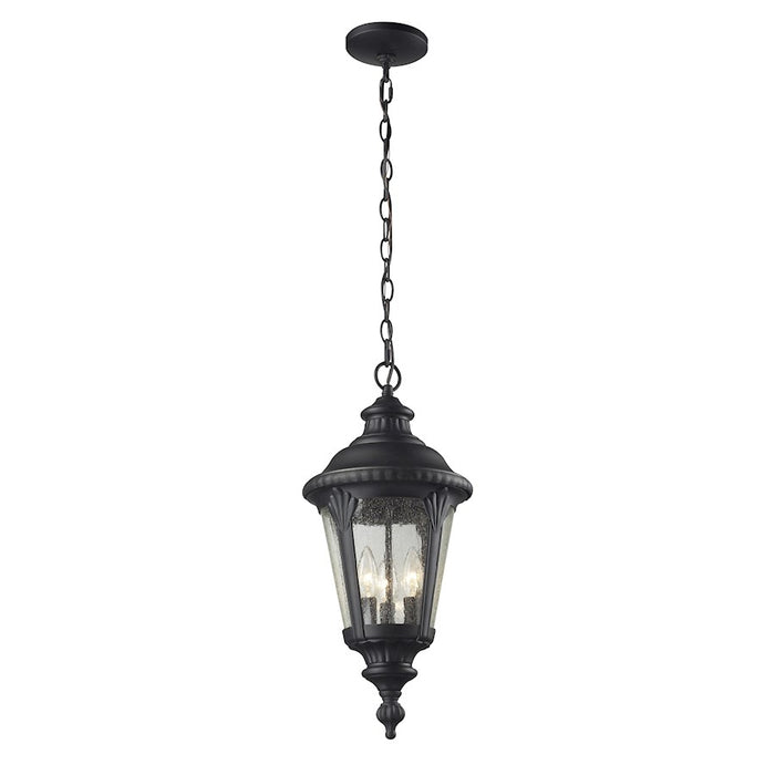 Z-Lite Medow Outdoor Chain Light, 9.75x23.75", Black, Clear Seedy - 545CHM-BK