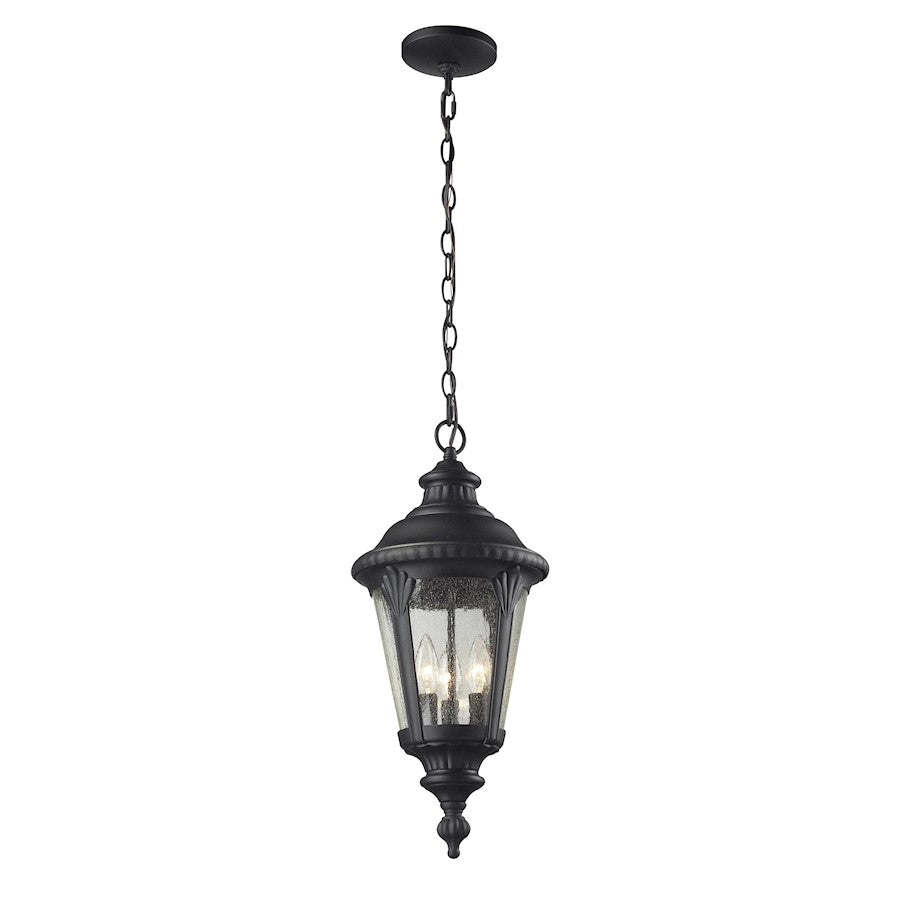Z-Lite Medow Outdoor Chain Light, 9.75x23.75", Black, Clear Seedy - 545CHM-BK
