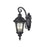 Z-Lite Medow 3 Light Outdoor Light, Black, Clear Seedy - 545M-BK