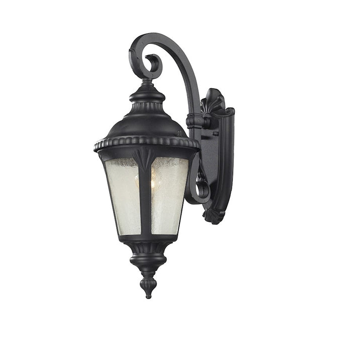 Z-Lite Medow 1 Light Outdoor Light, Black, Clear Seedy - 545S-BK