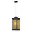 Z-Lite Vienna Outdoor Chain Light, 9x9.5x20.75", Bronze, Tint Seed - 548CHB-ORB