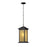 Z-Lite Vienna Outdoor Chain Light, 8x8x17.75", Bronze, Tinted Seed - 548CHM-ORB