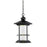 Z-Lite Genesis Outdr LED Chain Hung, 11.625x18.125, Black, Clear - 552CHB-BK-LED