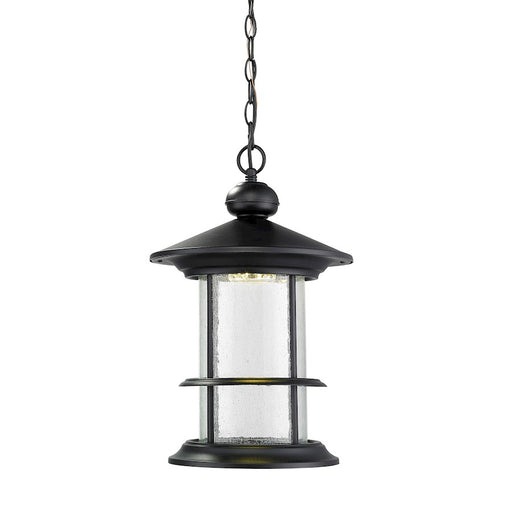 Z-Lite Genesis Outdr LED Chain Hung, 11.625x18.125, Black, Clear - 552CHB-BK-LED