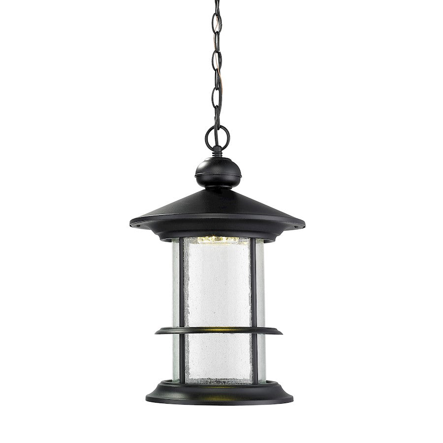 Z-Lite Genesis Outdr LED Chain Hung, 11.625x18.125, Black, Clear - 552CHB-BK-LED