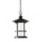 Z-Lite Genesis Outdr LED Chain Hung Light 9.2x15.35, Black, Clear Seed - 552CHM-BK-LED