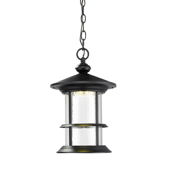 Z-Lite Genesis Outdr LED Chain Hung Light 9.2x15.35, Black, Clear Seed - 552CHM-BK-LED