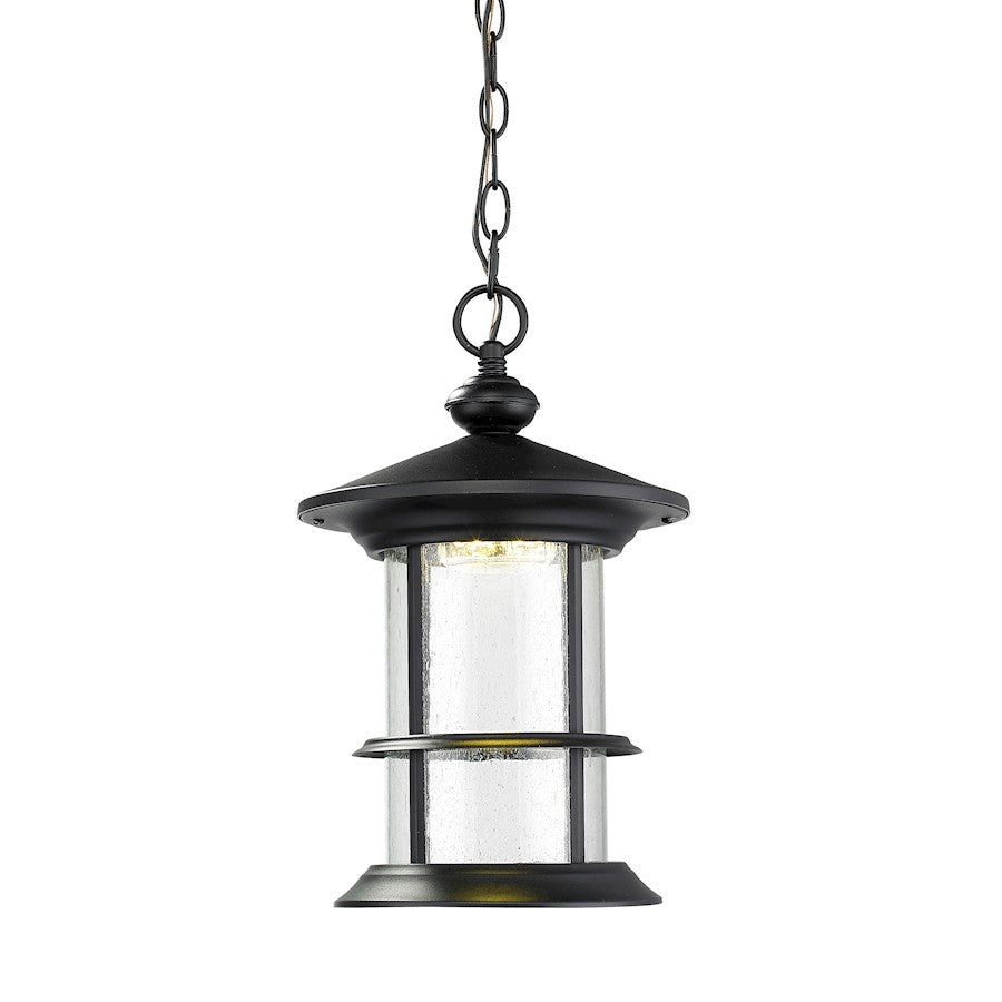 Z-Lite Genesis Outdr LED Chain Hung Light 9.2x15.35, Black, Clear Seed - 552CHM-BK-LED