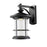 Z-Lite Genesis Outdr LED Wall Light 16.125x13.25x22", Black, Clear Seed - 552XL-BK-LED