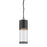 Z-Lite Luminata Outdoor LED Chain Hung Light, Black, Clear - 553CHB-BK-LED