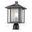 Z-Lite Aspen 1 Light Outdoor, 9x14.75", Black, Clear Seedy - 554PHM-BK