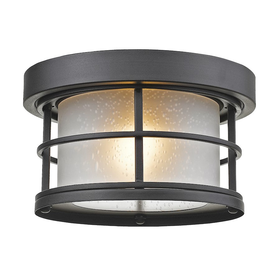 Z-Lite Exterior Additions 1 Light Outdoor, Black, White Seedy - 556F-BK