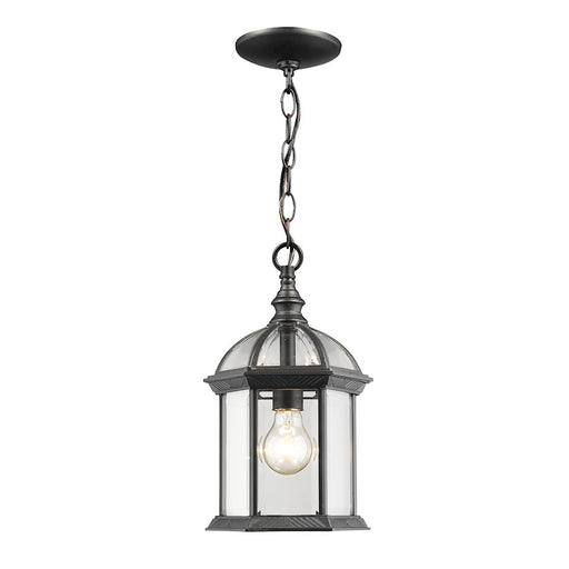Z-Lite Annex 1 Light Outdoor Chain in Black - 563CHM-BK
