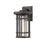 Z-Lite 1 Light Jordan Outdoor Wall Sconce