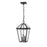 Z-Lite Talbot 3 Light Outdoor Chain Mount Fixture, Black - 579CHB-BK