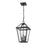Z-Lite Talbot 3 Light Outdoor Chain Mount Fixture, Black
