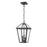 Z-Lite Talbot 3 Light Outdoor Chain Mount Fixture, Black