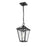 Z-Lite Talbot 1 Light Outdoor Chain Mount Ceiling Fixture, Black