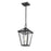 Z-Lite Talbot 1 Light Outdoor Chain Mount Ceiling Fixture, Bronze