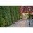 Z-Lite Talbot 3 Light Outdoor Post, Black