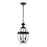 Z-Lite Westover 2 Light Outdoor Chain Mount Ceiling, Black/Beveled
