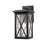 Z-Lite Brookside 1 Light Outdoor Wall Sconce, Black, Clear Seedy - 583B-BK