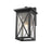 Z-Lite Brookside 1 Light Outdoor Wall Sconce, Black/Clear Seedy