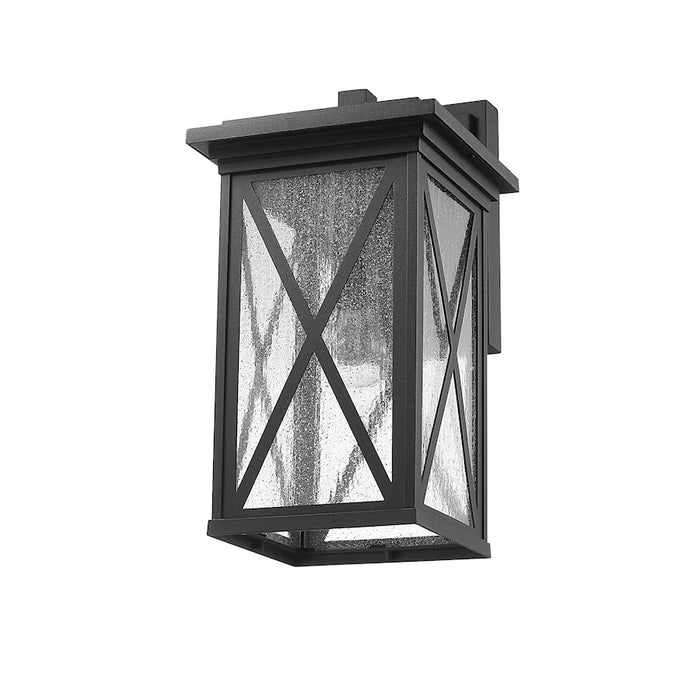 Z-Lite Brookside 1 Light Outdoor Wall Sconce, Black/Clear Seedy