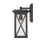 Z-Lite Brookside 1 Light 15" Outdoor Wall Sconce, Black/Clear Seedy