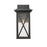 Z-Lite Brookside 1 Light 15" Outdoor Wall Sconce, Black/Clear Seedy