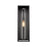 Z-Lite Dunbroch 1 Light 24.25" Outdoor Wall Sconce, Black/Clear