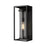 Z-Lite Dunbroch 1 Light 18.25" Outdoor Wall Sconce, Black/Clear