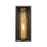 Z-Lite Dunbroch 1 Light 18" Outdoor Sconce, Bronze/Brass/Clear