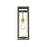 Z-Lite Dunbroch 1 Light 18" Outdoor Sconce, Bronze/Brass/Clear