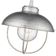 ZL590P-GV-5.jpg