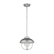 ZL590P-GV-6.jpg