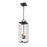 Z-Lite Sana 3 Light Outdoor Chain Mount Ceiling, Black