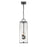 Z-Lite Sana 3 Light Outdoor Chain Mount Ceiling, Black