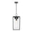 Z-Lite Sheridan 1 Light 10" Outdoor Ceiling Mount, Black/Seedy