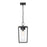 Z-Lite Sheridan 1 Light 8" Outdoor Ceiling Mount, Black/Seedy
