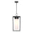 Z-Lite Sheridan 1 Light 23" Outdoor Ceiling Mount, Black/White Opal