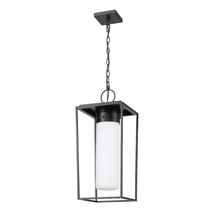 Z-Lite Sheridan 1 Light 23" Outdoor Ceiling Mount, Black/White Opal