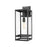 Z-Lite Nuri 1 Light 21" Outdoor Wall Sconce in Black/Clear