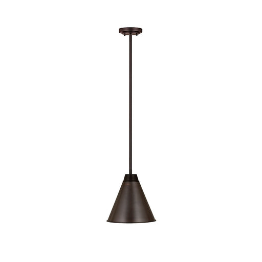 Z-Lite Eaton 1 Light 12" Pendant, Bronze Plate