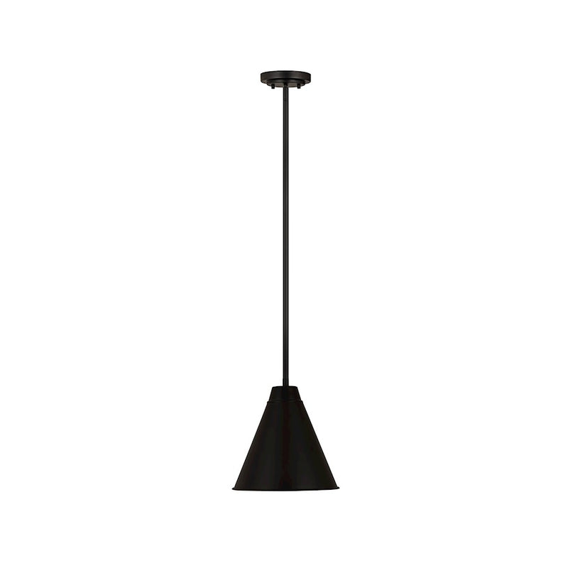 Z-Lite Eaton 1 Light 12" Pendant, Matte Black
