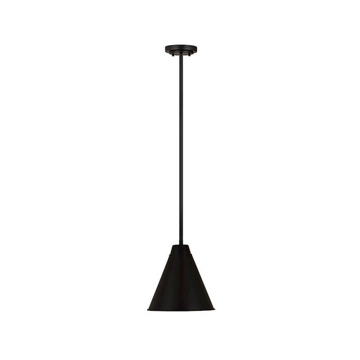 Z-Lite Eaton 1 Light 12" Pendant, Matte Black
